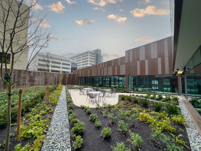 Overlake exterior shot.