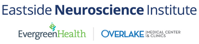 Eastside Neuroscience Institute Logo
