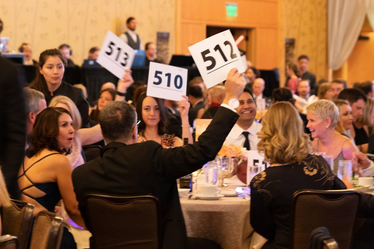 bandage ball auction