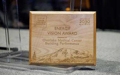 Energy Vision Award plaque
