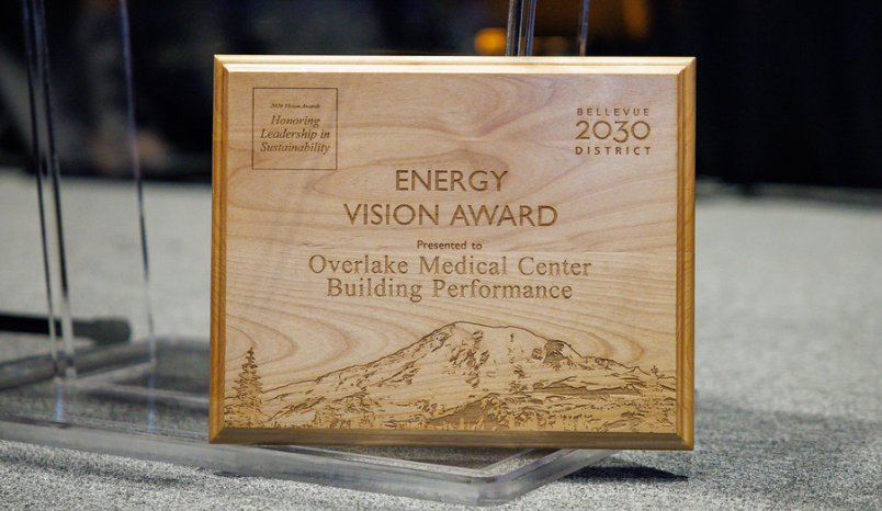 Energy Vision Award plaque