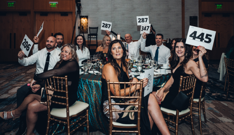 Bandage Ball 2026 - Auction Bidders