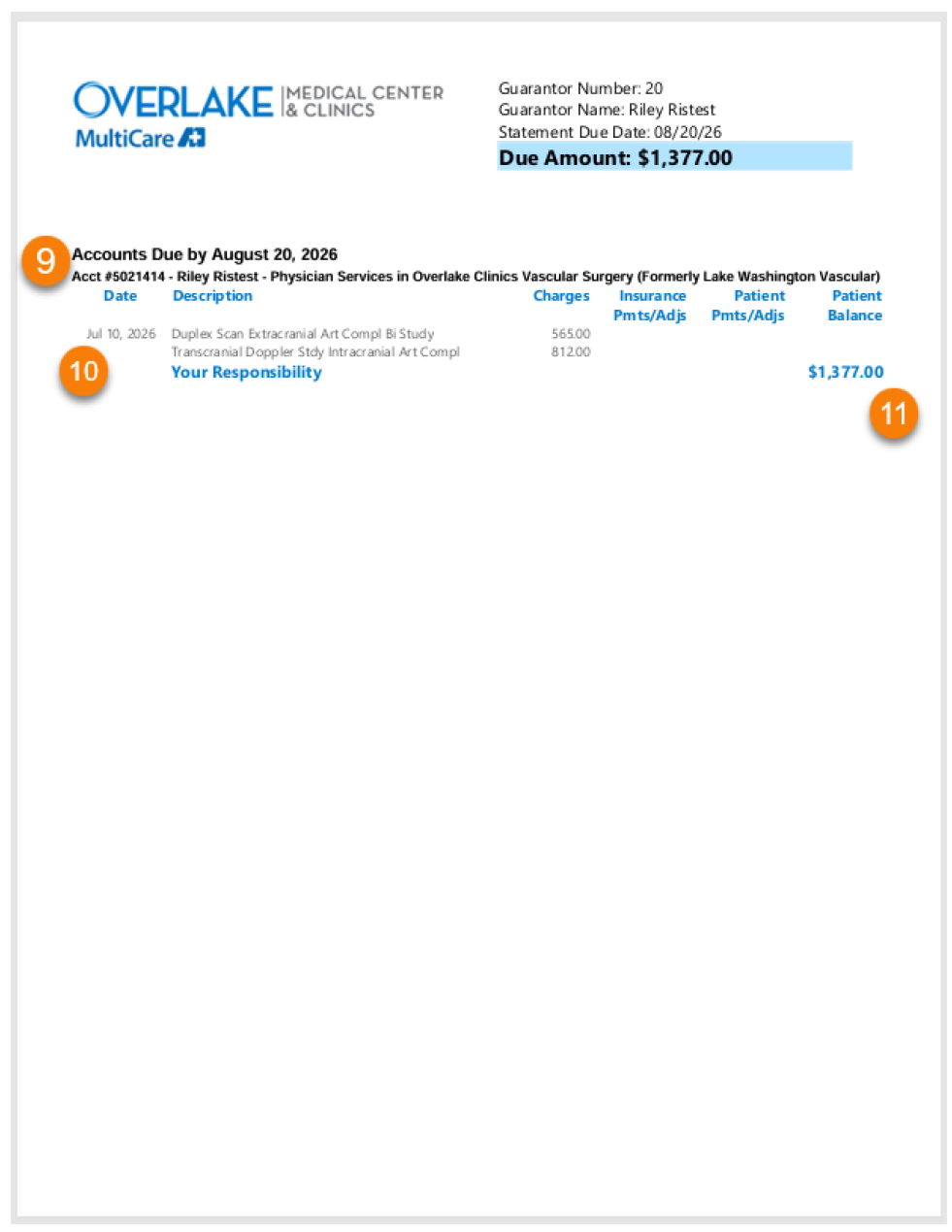Billing statement detail view with numbered callouts 9 through 11 identifying account and visit information, service date and type, and total amount due. See accompanying text for details.