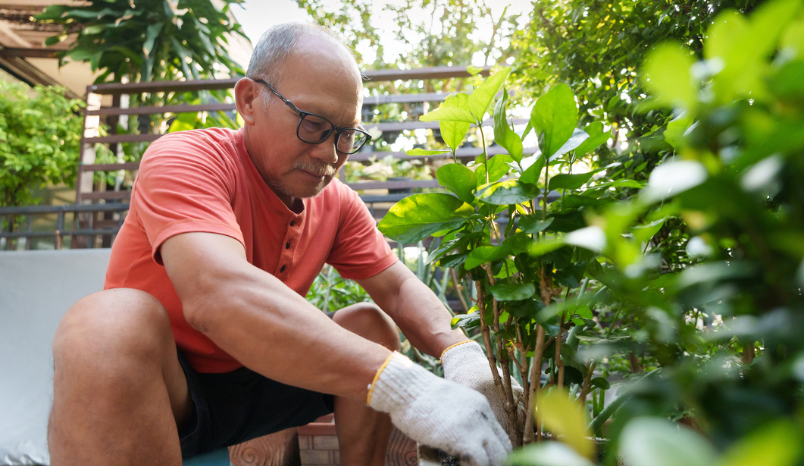  Elderly man in orange shirt gardening in his backyard