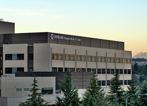graphic icon of building