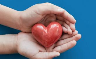 seattle magazine top doctors hands holding ceramic heart