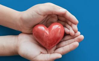 seattle magazine top doctors hands holding ceramic heart