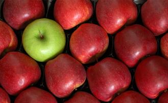 one-green-apple-among-many-red-apples