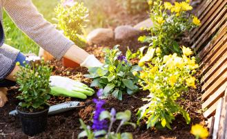 hands-gardening-flowers