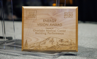 Energy Vision Award plaque