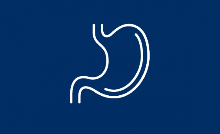 stomach