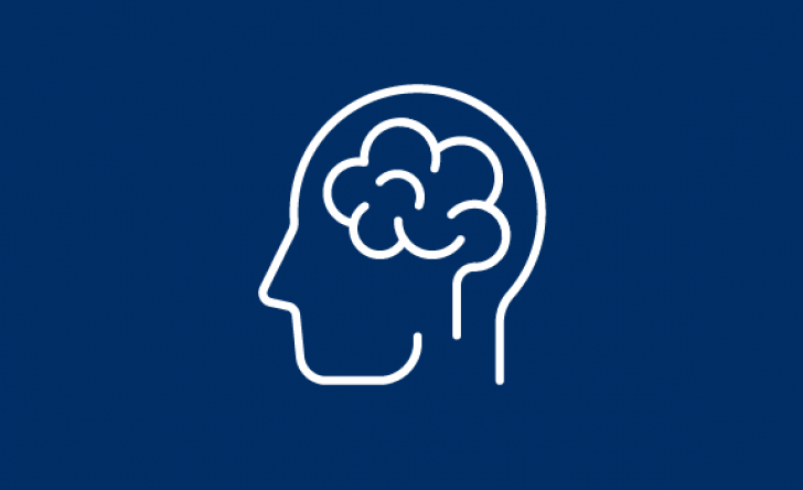 brain